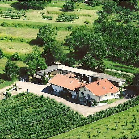 Апартаменти Weingut Ringwald Гербольцгайм Екстер'єр фото