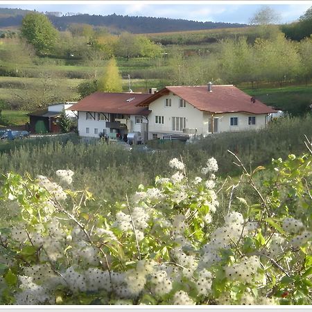 Апартаменти Weingut Ringwald Гербольцгайм Екстер'єр фото