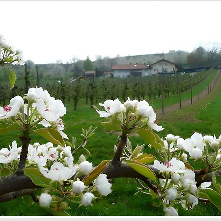 Апартаменти Weingut Ringwald Гербольцгайм Екстер'єр фото