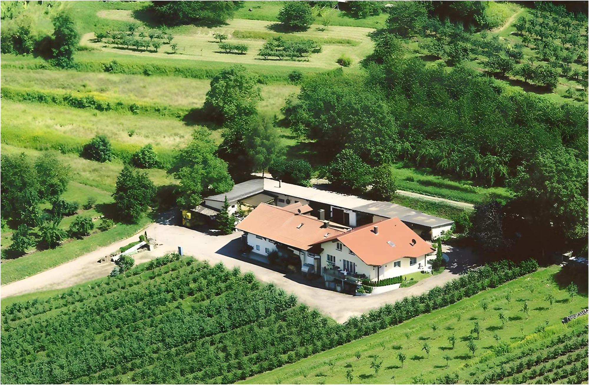 Апартаменти Weingut Ringwald Гербольцгайм Екстер'єр фото